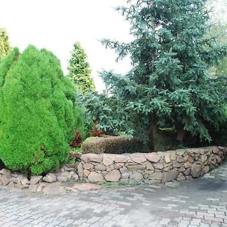 Villa For You Освенцим Экстерьер фото